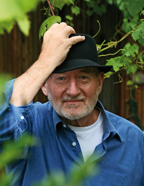 Sepp Schauer 